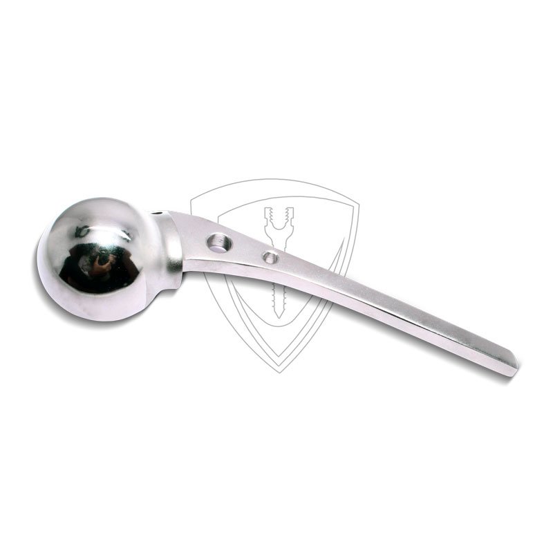 Austin More Hip Prosthesis